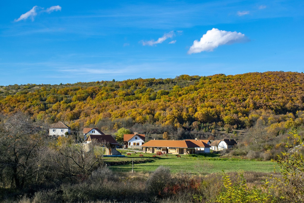 Zemědělské komory Visegrádské čtyřky se dohodly na zachování hodnot venkova