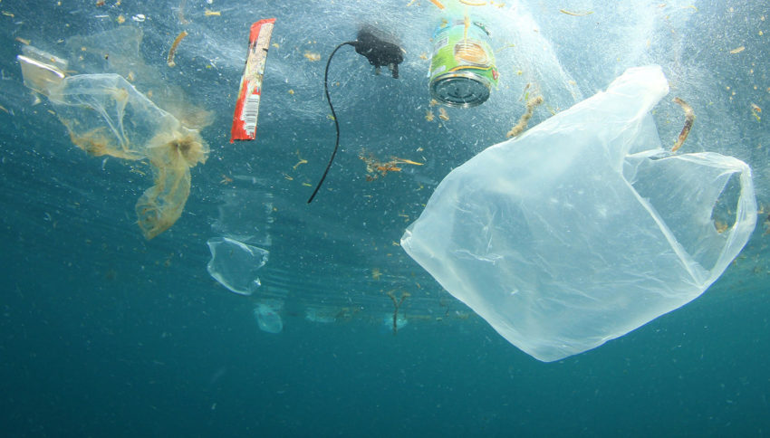 Plastové znečištění ve světových oceánech dosáhlo „bezprecedentní úrovně“ za 15 let, podle studie, která nabádá úřady k uzavření mezinárodní smlouvy plánované na rok 2024, jejímž cílem je zachránit planetu před těmito odpadky.  Výzkum, publikovaný ve středu v americkém časopise PLOS One,  odhaduje, že od roku 2005 bylo do moře vyhozeno 170 000 bilionů kusů plastů na povrchu oceánu, většinou mikroplastů.  Celková hmotnost těchto plastů představuje 2,3 milionu tun,  zdůrazňuje studie.  Toto znečištění „dosáhlo bezprecedentní úrovně za posledních 15 let“, varuje tato zpráva, která považuje  předchozí odhady za podhodnocené a dokonce předpovídá zrychlení jevu, pokud se nic neudělá pro jeho vyřešení.  Výsledky jsou založeny na  vzorcích plastů z více než 11 000 stanic po celém světě za 40 let od roku 1979 do roku 2019.  Ty nevykazovaly žádný jasný trend až do roku 1990, následovaly výkyvy mezi lety 1990 a 2005. Od tohoto data však  „dochází k velmi vysokému nárůstu kvůli rychlému růstu produkce a omezenému počtu politik kontroly uvolňování“,  zdůraznila Lisa Erdle, jedna z autorům, agentuře France-Presse (AFP).  Ve středním oceánu je toto  znečištění  způsobeno především  rybářským vybavením a bójemi, zatímco oblečení, pneumatiky automobilů a jednorázové plasty mají tendenci znečišťovat blíže ke břehu.  Přítomnost těchto  předmětů ohrožuje zvířata, která uvíznou ve větších kusech nebo požívají mikroplasty  , které se pohybují po potravním řetězci k lidem.  Pokud bude trend pokračovat,  očekává se, že se použití plastů od roku 2019 v zemích G20 do roku 2050 téměř zdvojnásobí na 451 milionů tun ročně,  podle nedávné mezinárodní zprávy.  Po druhé světové válce, v roce 1950,  se na planetě vyrobily jen dva miliony tun.  Odpady mezi lety 1990 a 2005 rozhodně  poklesly, zčásti díky účinným politikám,  jako je úmluva MARPOL z roku 1988 [Mezinárodní úmluva o zabránění znečišťování moře z lodí] o ukončení vypouštění z lodí.  Ale  recyklace , a to ani v  nejbohatších zemích, k vyřešení problému nestačila.  V loňském roce  se 175 zemí dohodlo na ukončení tohoto znečištění vytvořením závazné smlouvy do konce roku 2024 pod záštitou Organizace spojených národů.  Další jednání je naplánováno na květen v Paříži. Pro autory  musí být tato smlouva dostatečně ambiciózní, aby omezila výrobu a používání plastu, ale také lépe zvládla jeho likvidaci.  „Obnova plastů v životním prostředí má pouze omezený účinek a řešení by se proto měla zaměřit na omezení uvolňování plastů,“ uvádí studie.